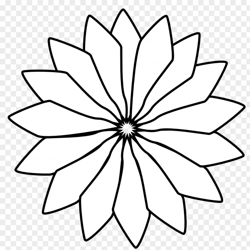 White Flower Art Common Sunflower Drawing Black And Clip PNG
