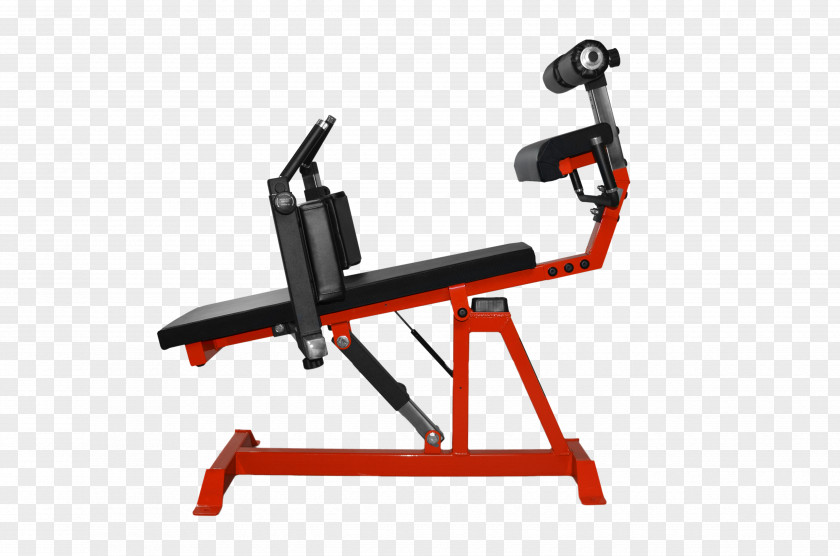 Barbell Bench Strength Training Fitness Centre Weight PNG
