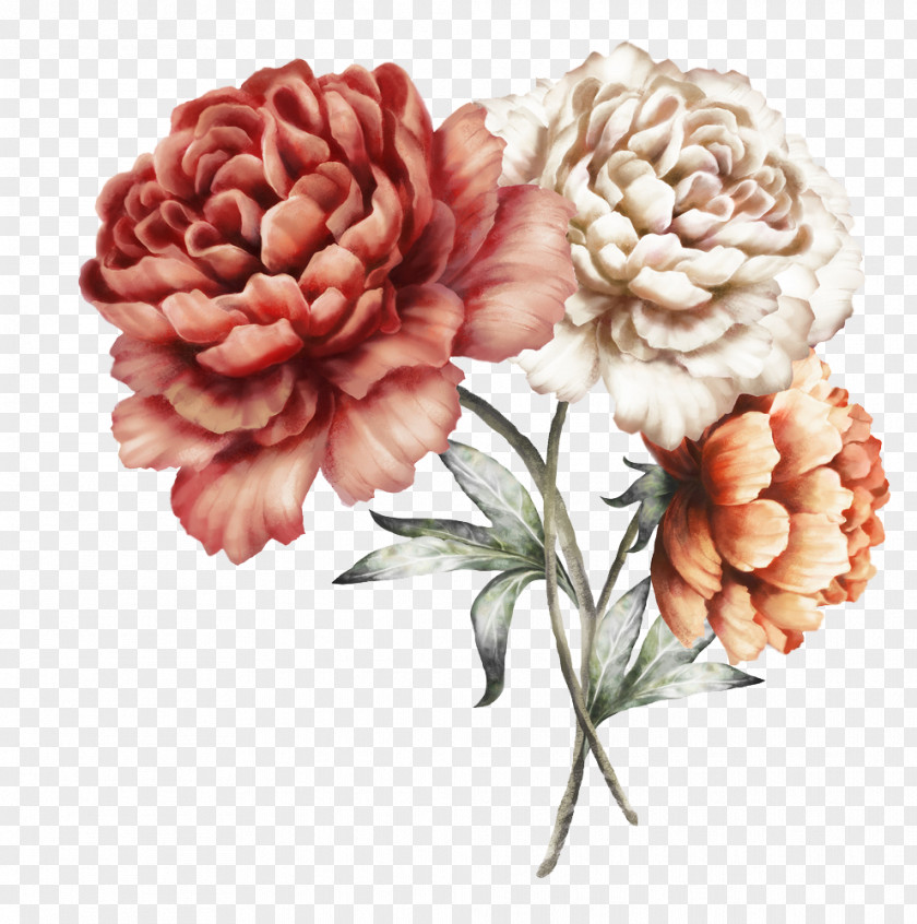 Floral Watercolor Flower Peony Color PNG