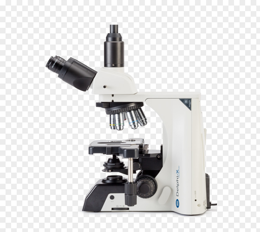 1000x, Fluarex Euromex Microscope DX.1153-PLPHi, Phase, Trino, Infinity, 40x1000xMicro Science DX.1153-PLi, Trino Microscope, 40x-1000x Optics DX.1153-APLi, 40x PNG