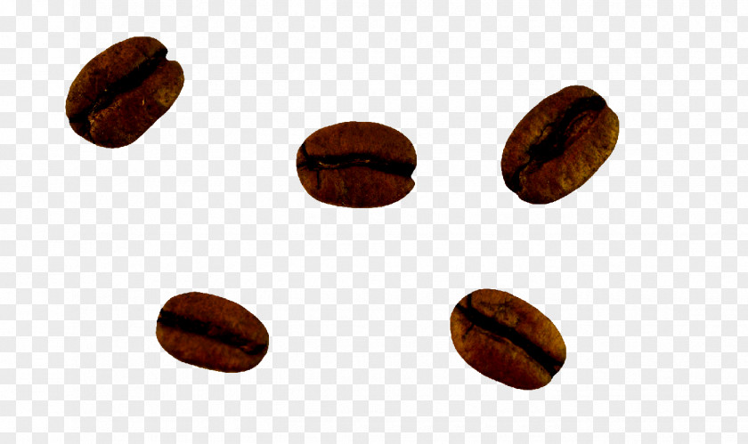 Coffee Beans Nut PNG