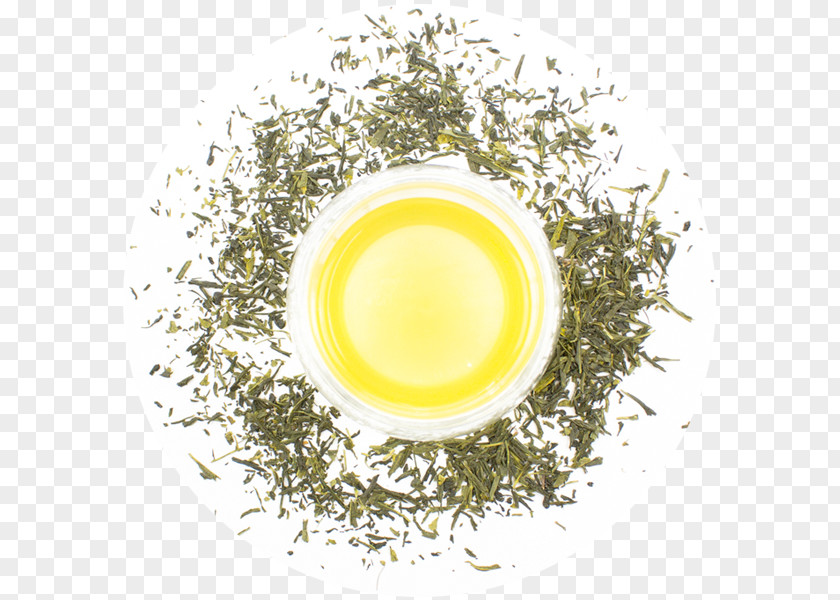 Green Tea Earl Grey Sencha Hōjicha Assam PNG