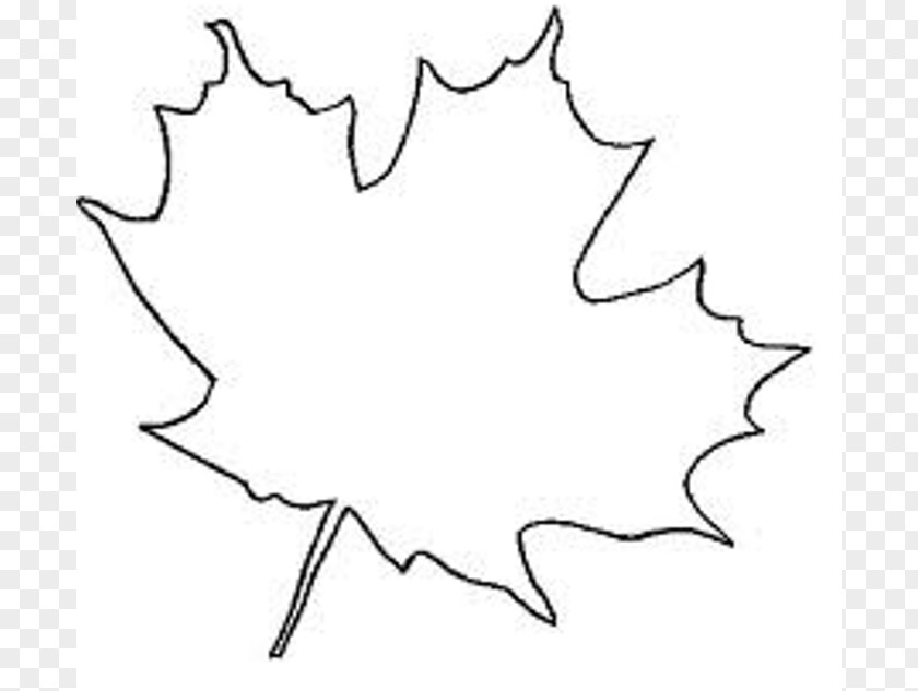 Maple Leaf Outline Sugar Japanese Canada PNG