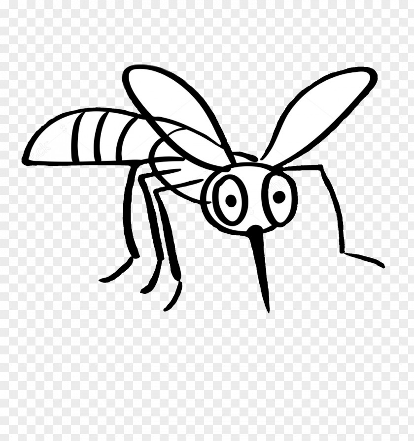 Mosquito Clip Art Drawing Line Image PNG
