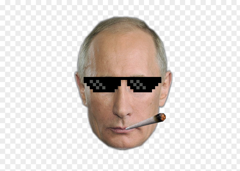 Vladimir Putin Shrek Russia Image Goggles PNG