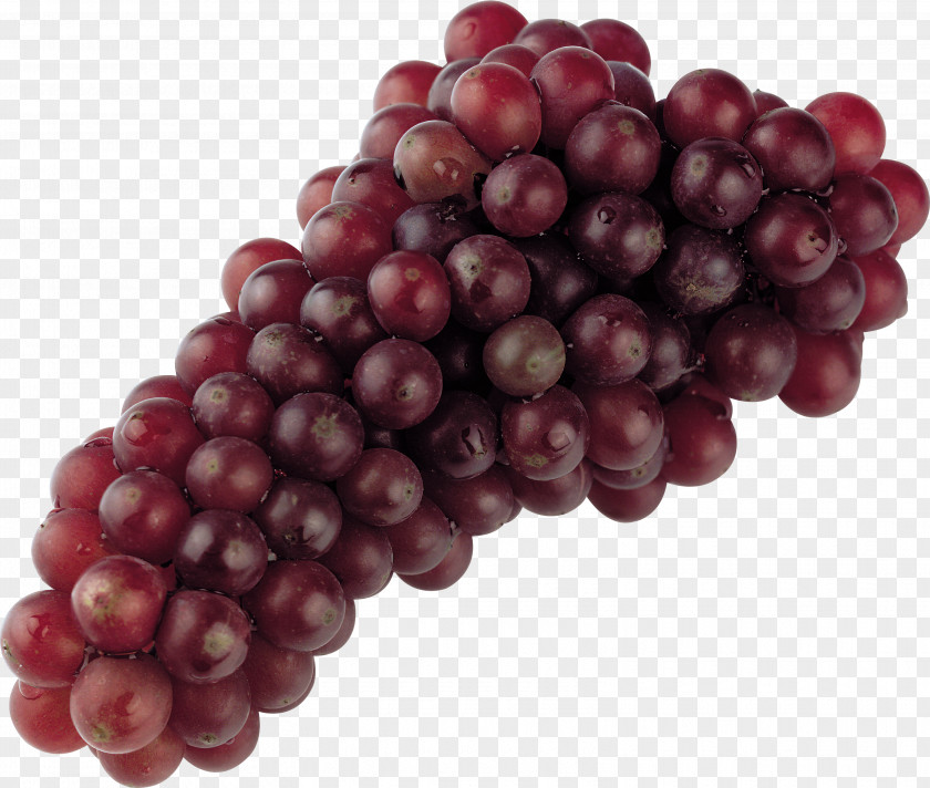 Grape Image Download Picture Seed Extract Grapefruit PNG