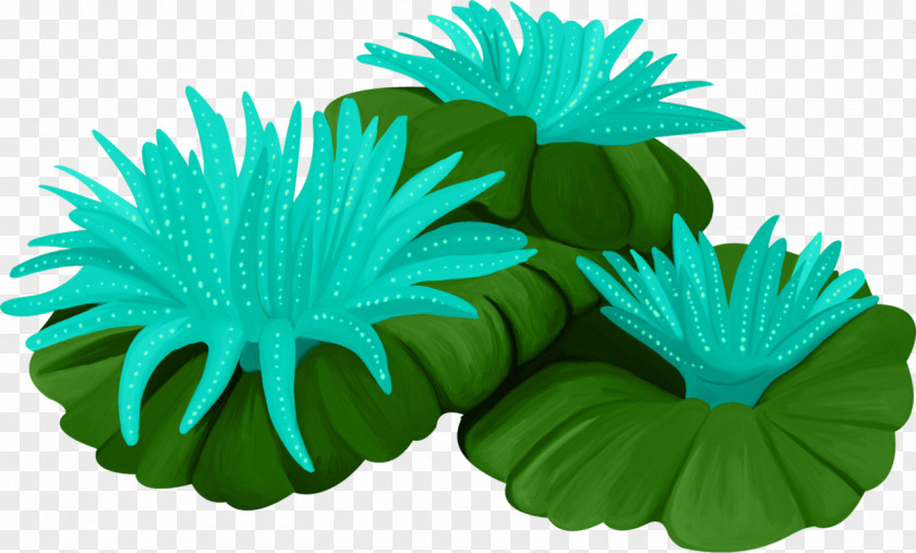 Leaf Petal Green PNG