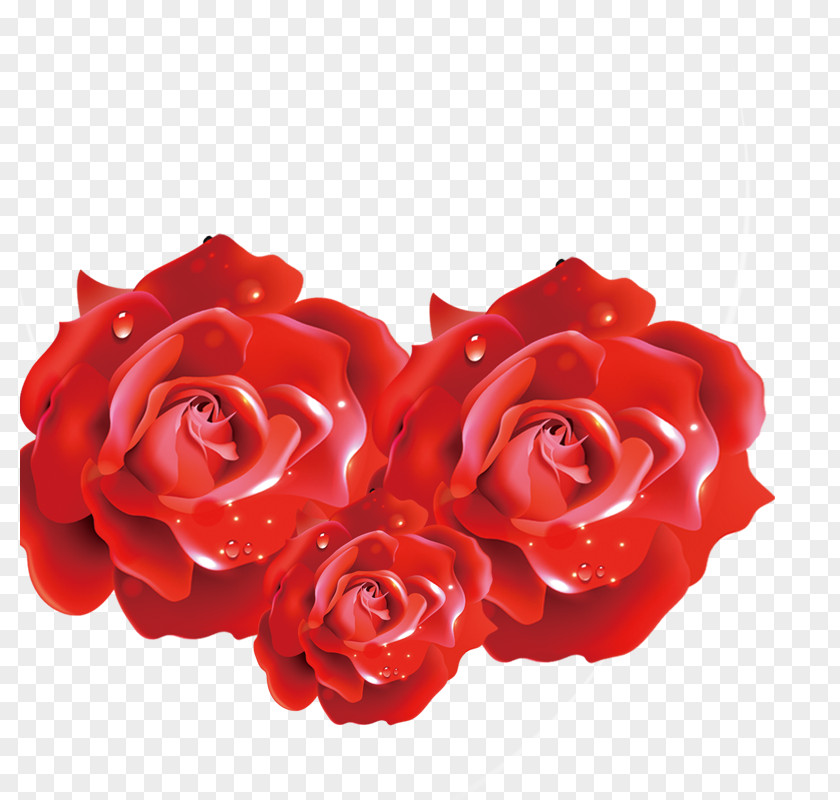 Rose Beach If(we) Download Flower PNG