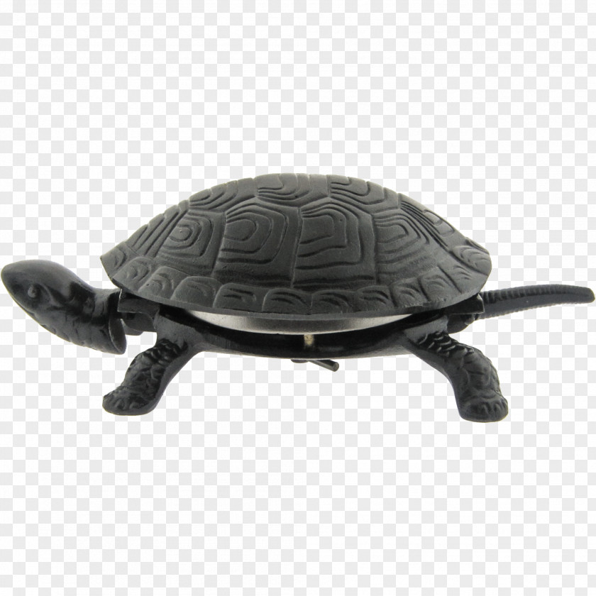 Turtle Call Bell Reptile Tortoise PNG