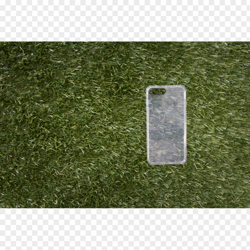 Acessories Lawn Rectangle PNG