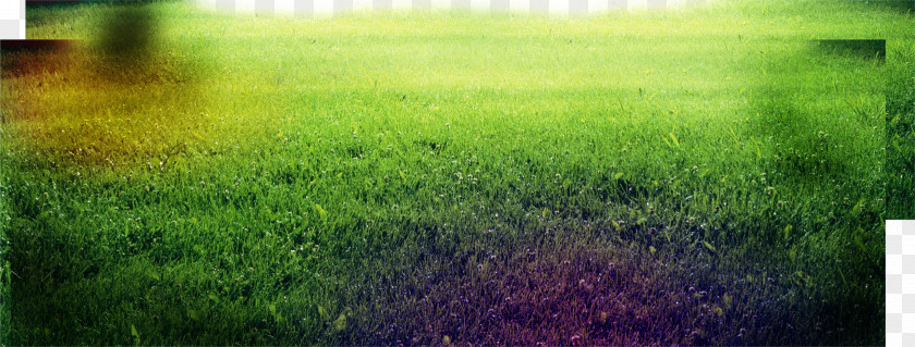 Creative Green Grass Sunlight Crop Grassland Sky Silencer PNG