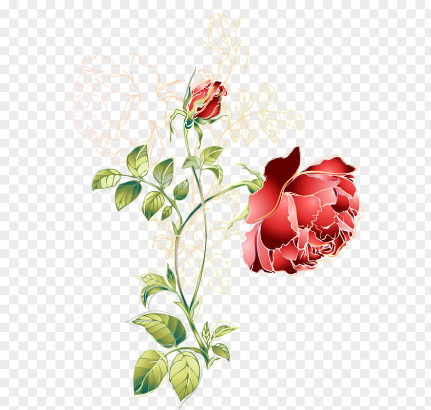 Hand-painted Rose Flower Red Green Color PNG
