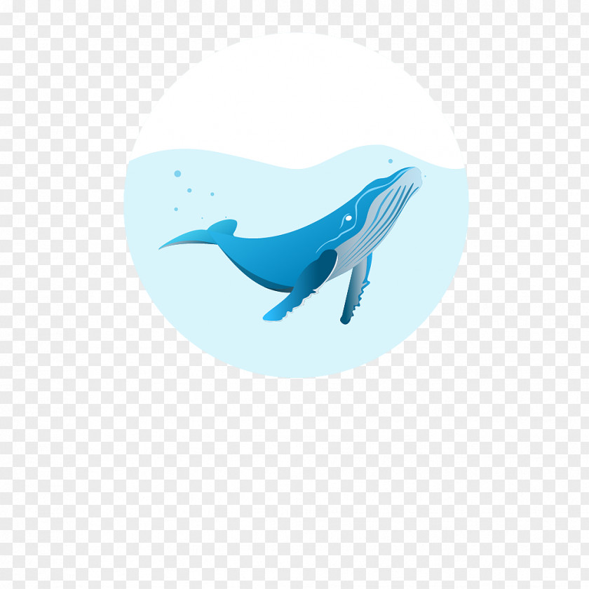 Hold On Dolphin Desktop Wallpaper Logo Illustration Computer PNG