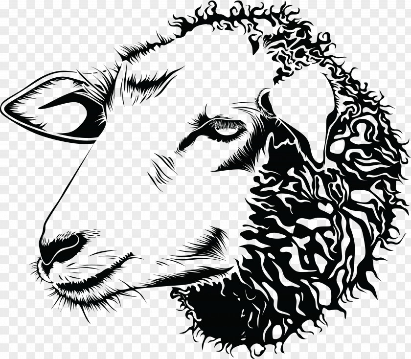 Sheep Goat Drawing Line Art Clip PNG