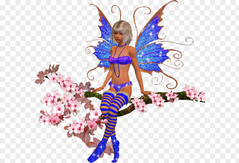 UC Fantasy Fairy Stocking Photography PNG