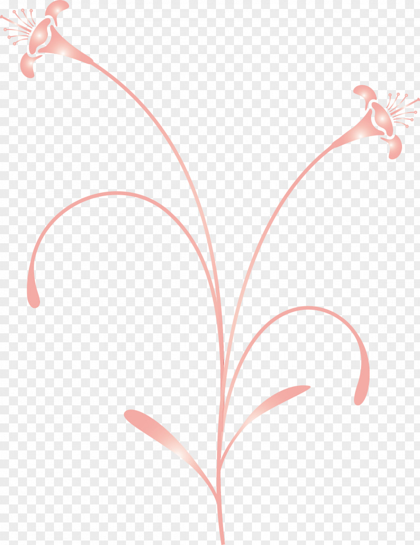 Leaf Pink Plant Line Flower PNG