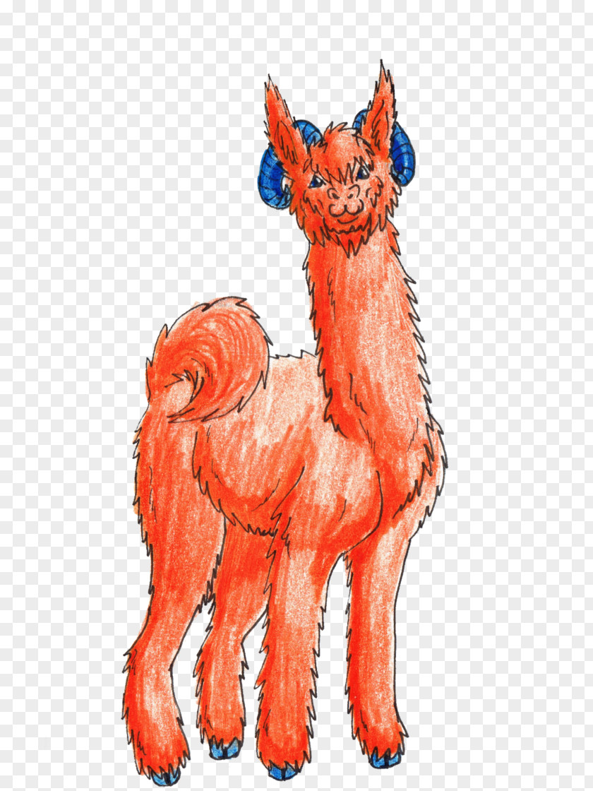 Suri Alpaca Cat Llama Mammal Canidae Horse PNG