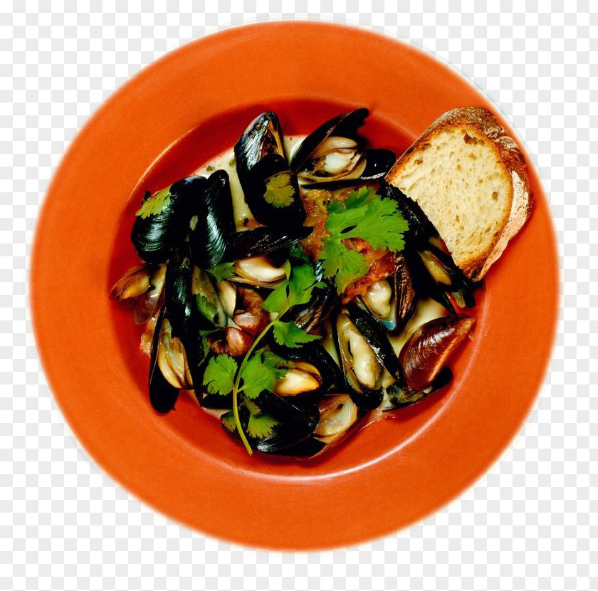 Toast And Orange Oyster Plate Inside Seafood Mussel Clam Raw Foodism PNG