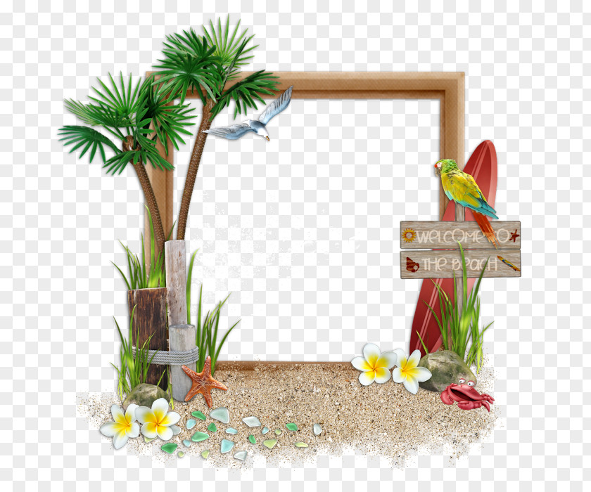 Bungalow Frame Chasis Beach Flora Up August Sea July PNG