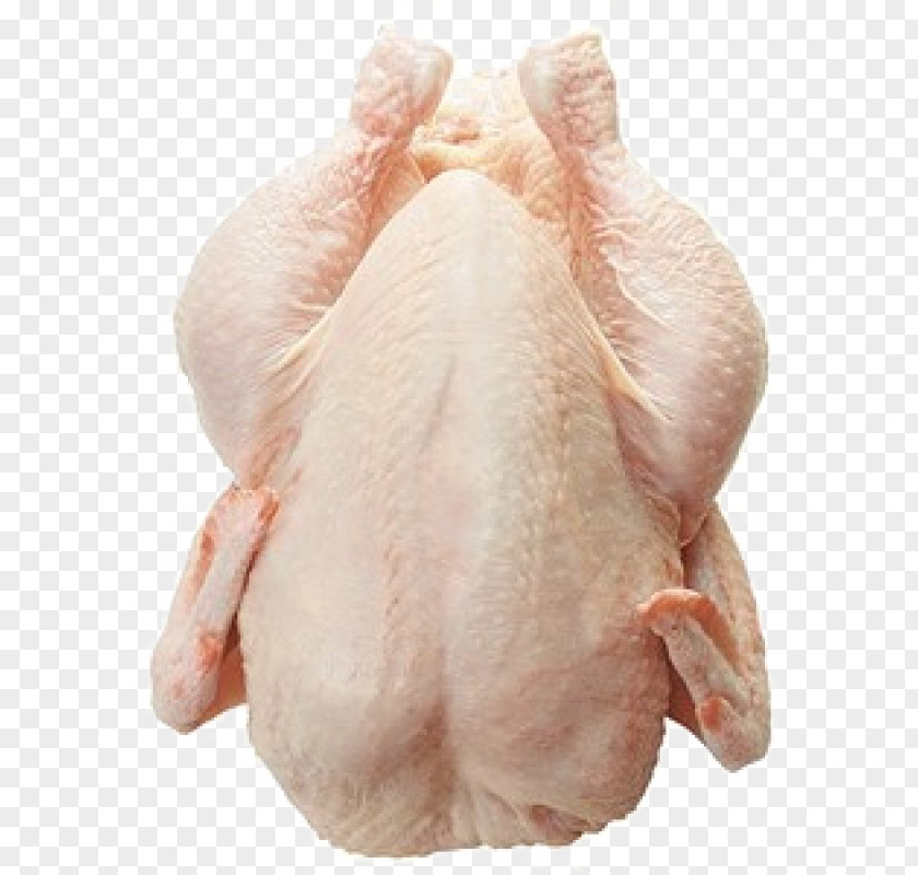 Chicken As Food Buffalo Wing Frozen Poultry PNG
