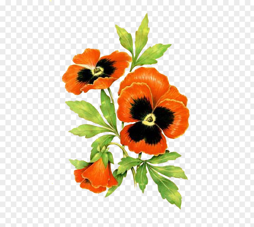 Flower Pansy Paper Clip Art PNG
