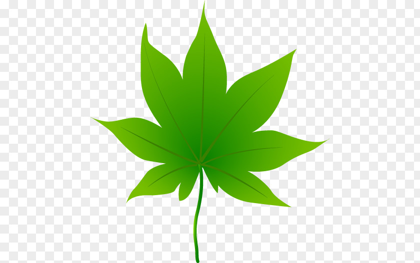 Leaf Illust Cannabis Sativa Ruderalis PNG