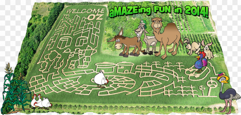 Corn Maze Lawn PNG