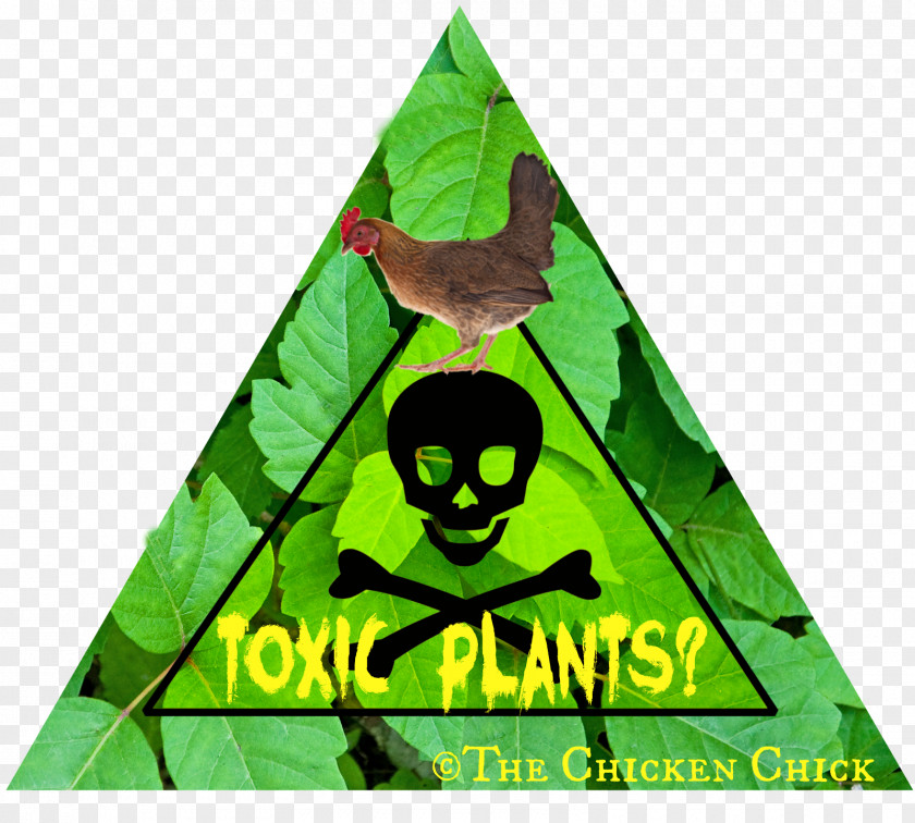 Organic Plant Sussex Chicken Coop Urban Gardening With Chickens: Plans And Plants For You Your Hens Free Range PNG