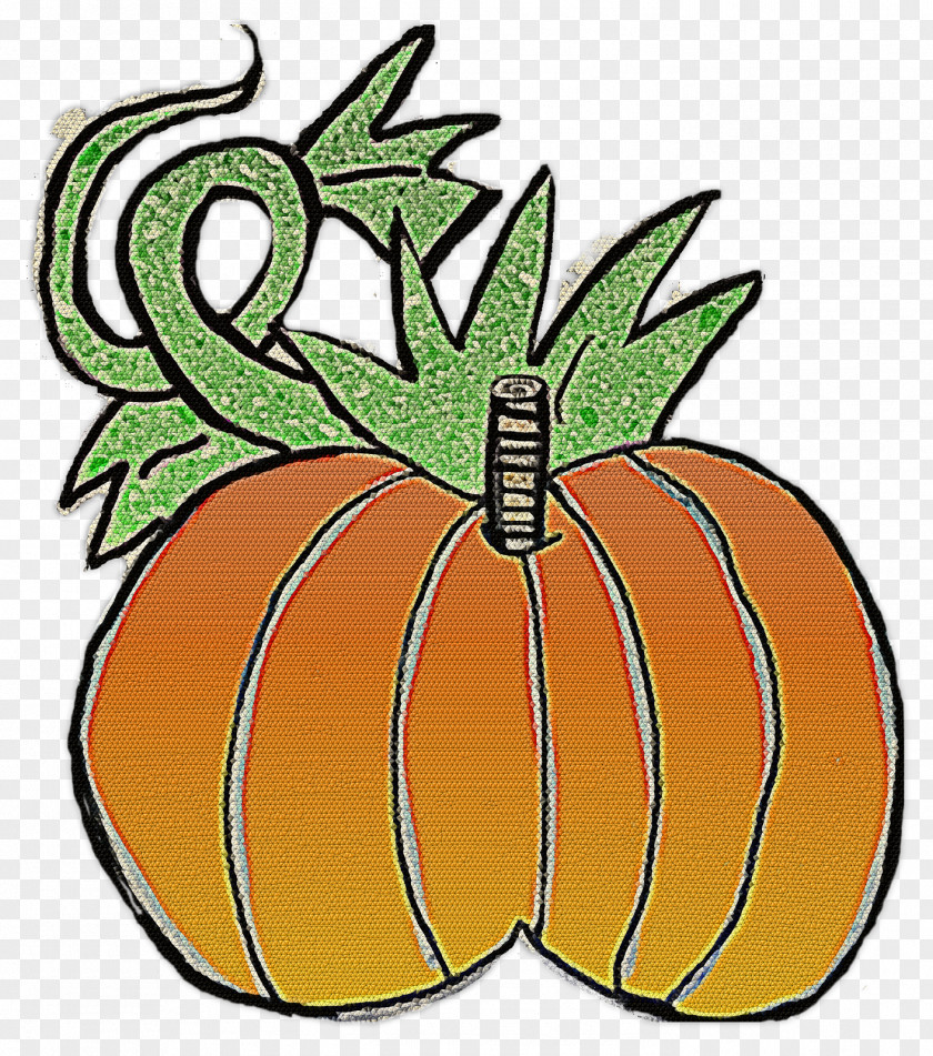 Pumpkin Calabaza Winter Squash Insect PNG