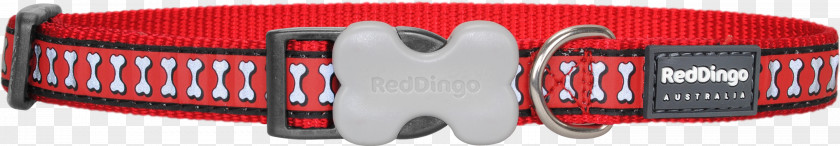 Red Collar Dingo Dog Leash PNG