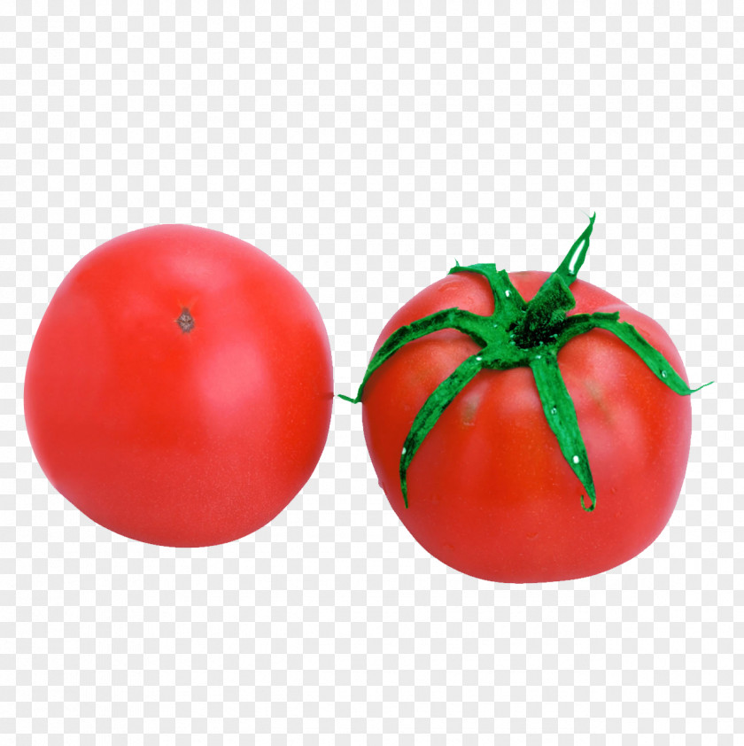 Tomato Vegetable Eating Food Melon PNG