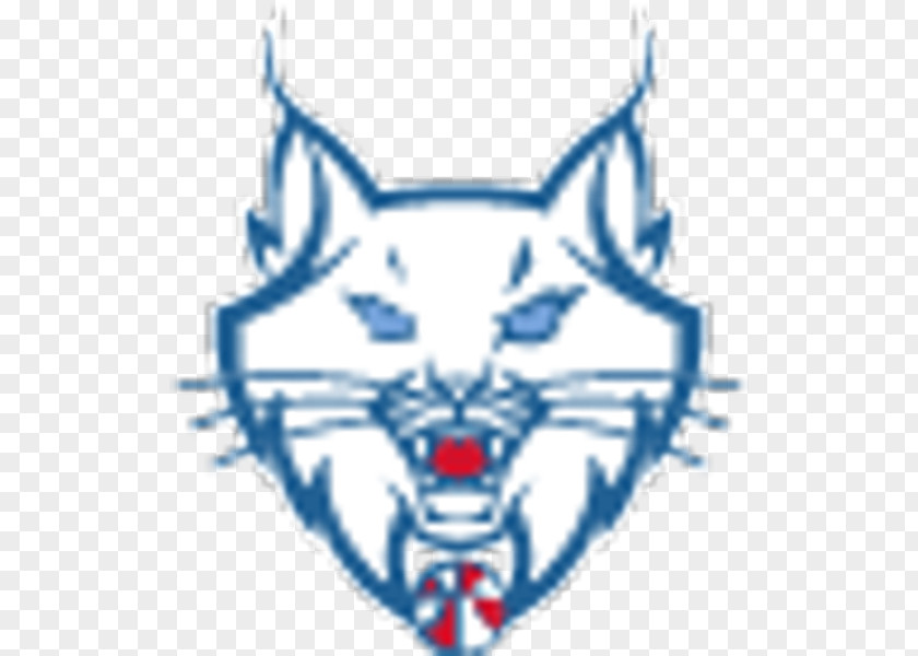 Minnesota Lynx Timberwolves New York Liberty Los Angeles Sparks PNG