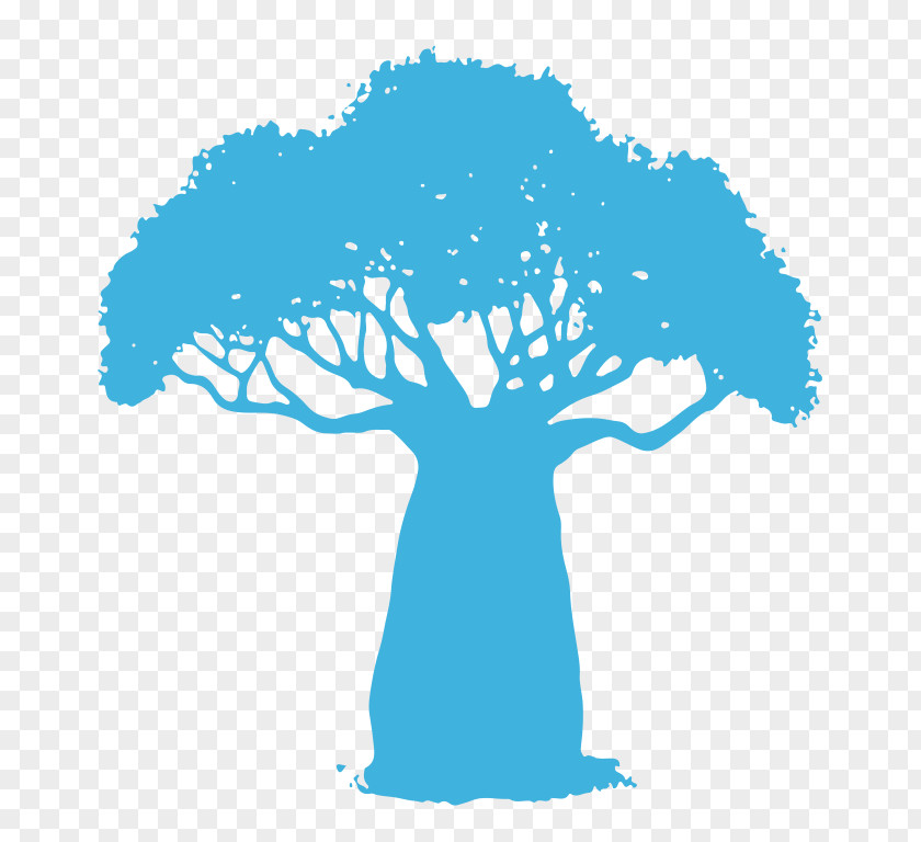 Tree Baobab Wiki Indaba Clip Art PNG