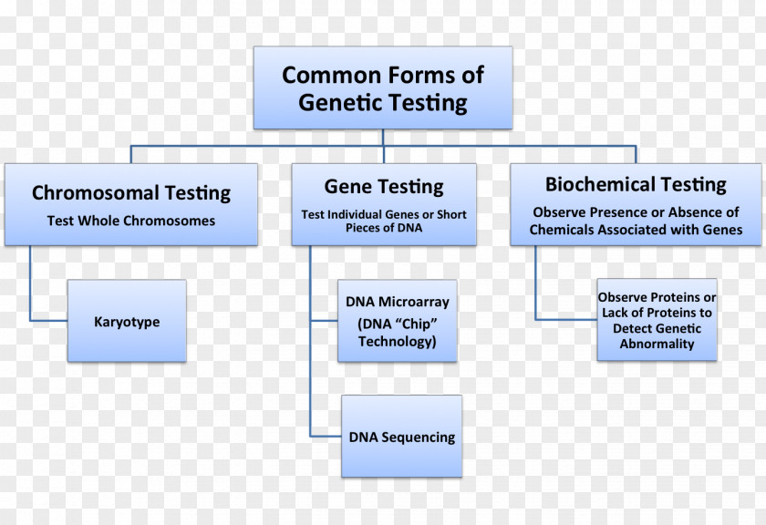 Dna Testing Line Organization Angle Diagram Brand PNG