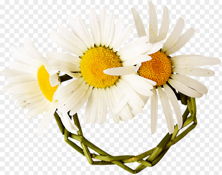 Flower Love Floristry Blog Tendresse PNG