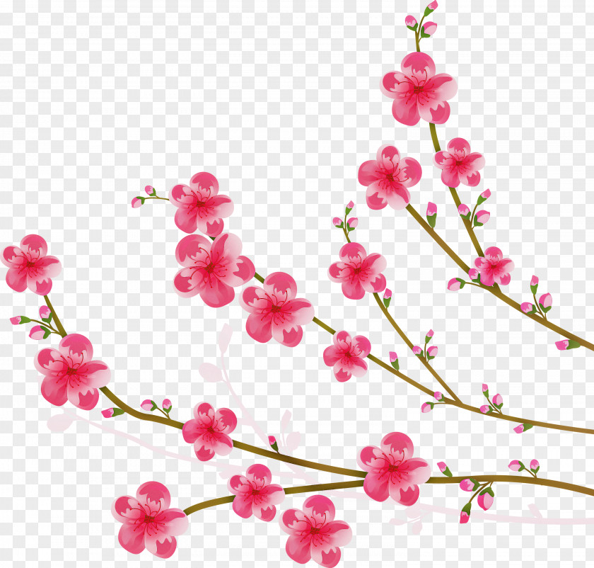 Flowers Floral PNG