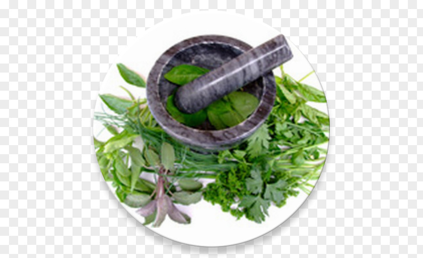 Herbalism Alternative Health Services Medicine Ayurveda PNG Ayurveda, ayurvedic medicine clipart PNG
