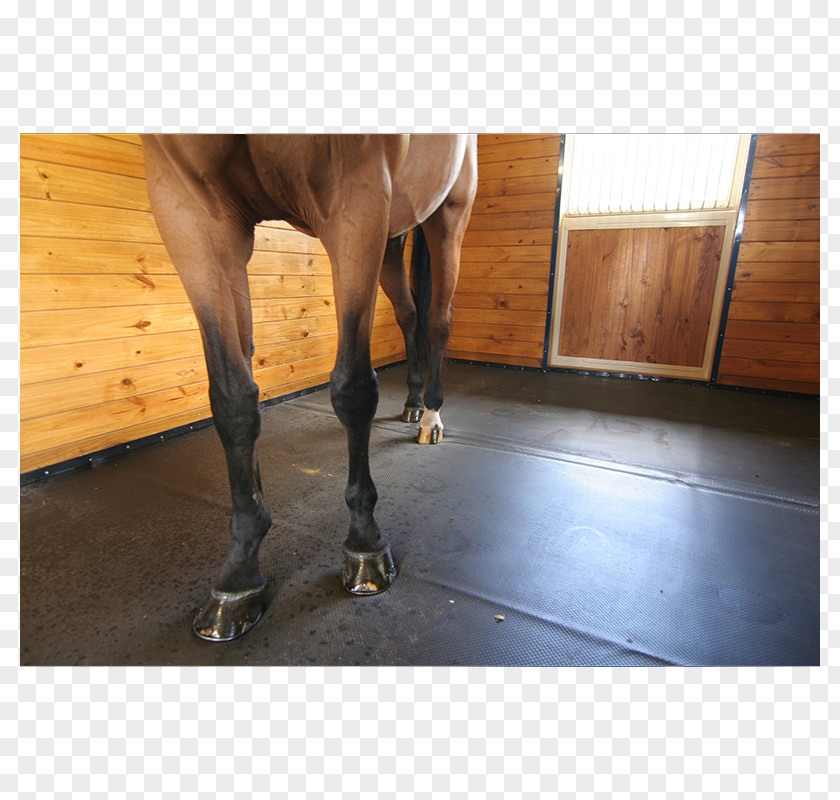 Horse Mat Stable Flooring Paddock PNG