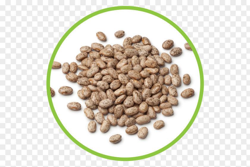 Pinto Beans Bean Jamaican Blue Mountain Coffee Food Stock Photography PNG
