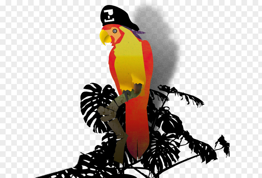 Pirate Parrot Looting Piracy Bird Toucan PNG