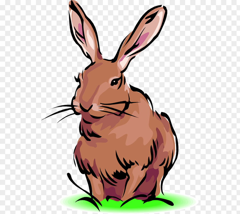 Rabbit Thanksgiving Cliparts Easter Bunny Black-tailed Jackrabbit Domestic Clip Art PNG