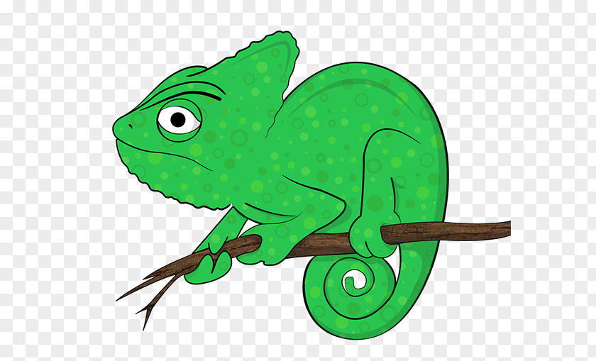 Chameleons Animation Iguanas Amphibian Clip Art PNG