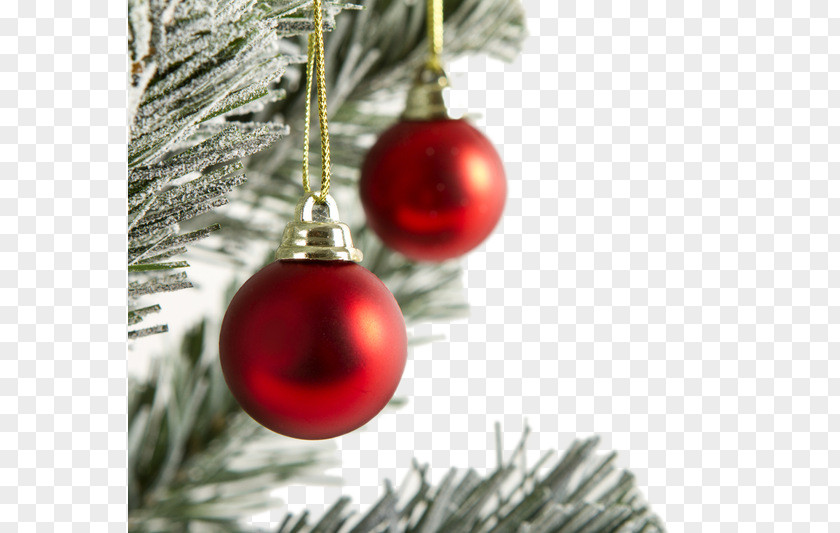 Christmas Red Ball Ornament Tree Gift PNG