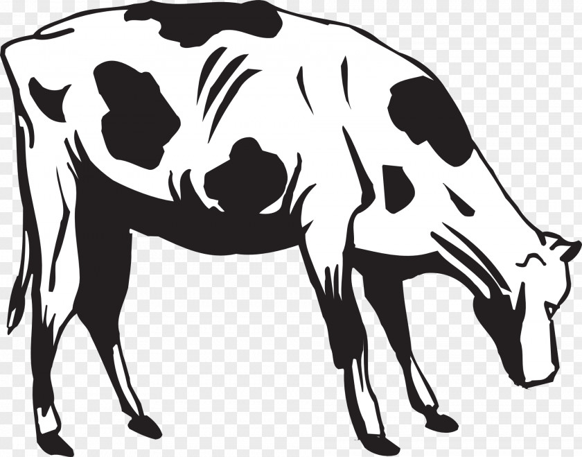 Cow Cattle Eating Clip Art PNG