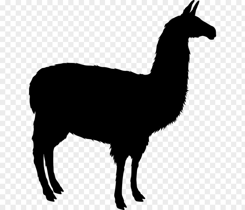 Crooked Vector Llama Alpaca Silhouette Clip Art PNG