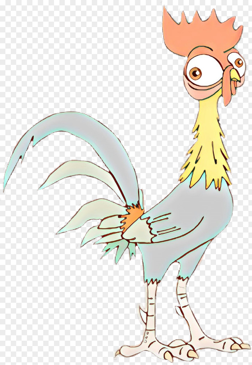 Rooster Chicken Clip Art Illustration Beak PNG