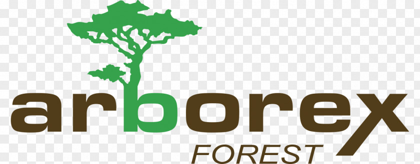 Tree Lumberjack Forestry ARBOREX Sprl Arborist PNG