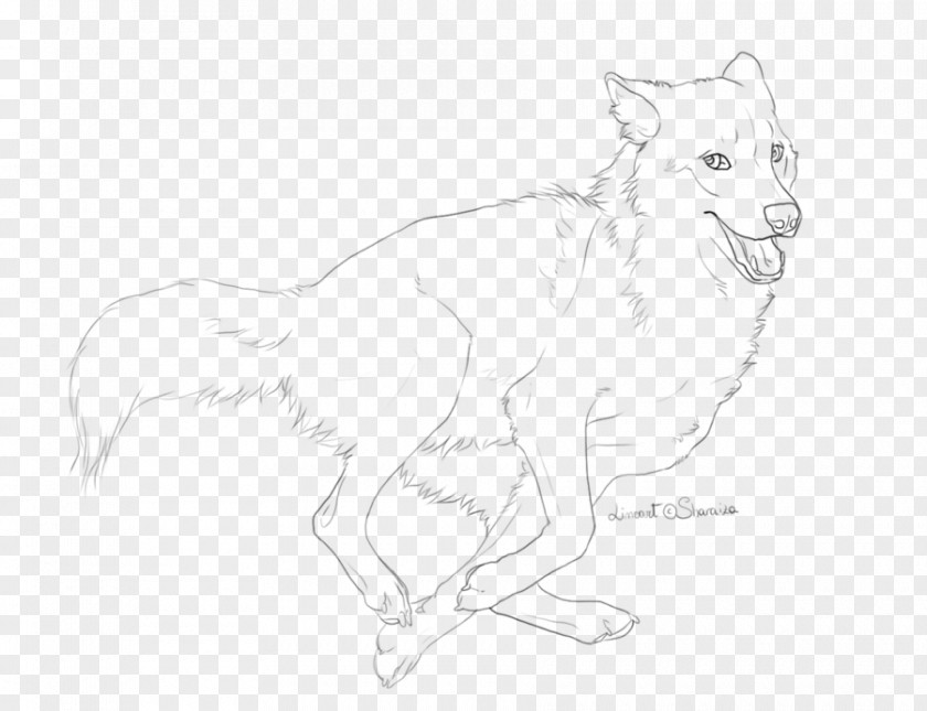 Watercolor Bear Line Art Drawing Red Fox Dog Sketch PNG