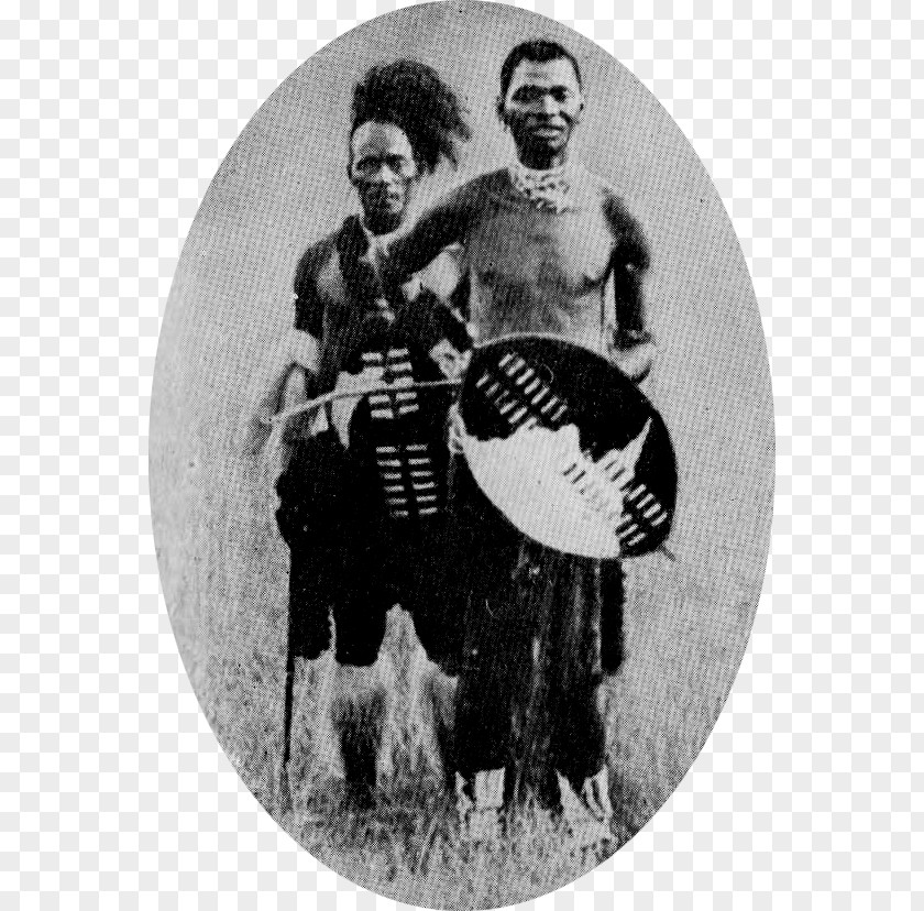 Bambatha Rebellion Greytown Colony Of Natal Zulu Kingdom Anglo-Zulu War PNG