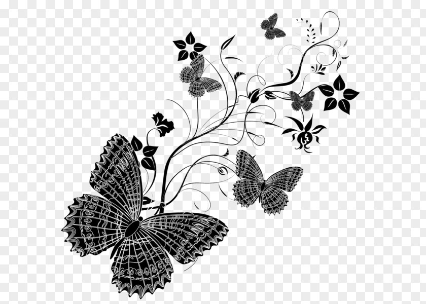Butterfly Monarch Vector Graphics Illustration Image PNG